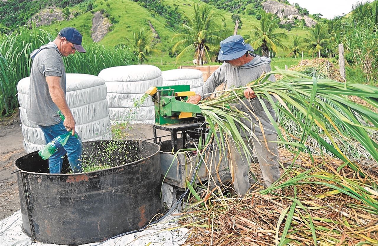 Pecuaristas ampliaram produção de leite no Espírito Santo (Foto: Tatiana Caus de Souza/Incaper)