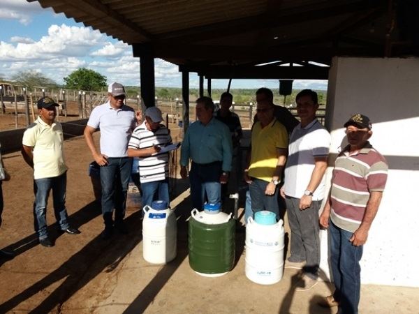 doação de sêmen - produtores de leite - Alagoas