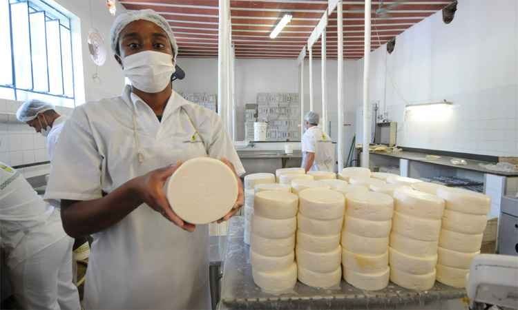 típico queijo do Serro - Minas Gerais - queijos artesanais 