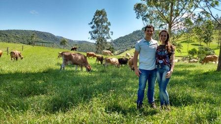 produção de leite - santa catarina 