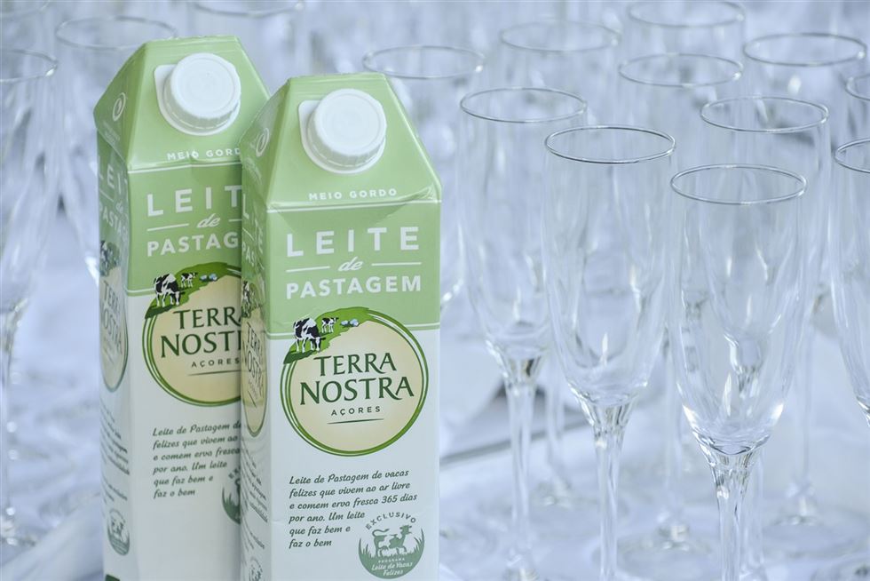 leite Terra Nostra - Portugal 