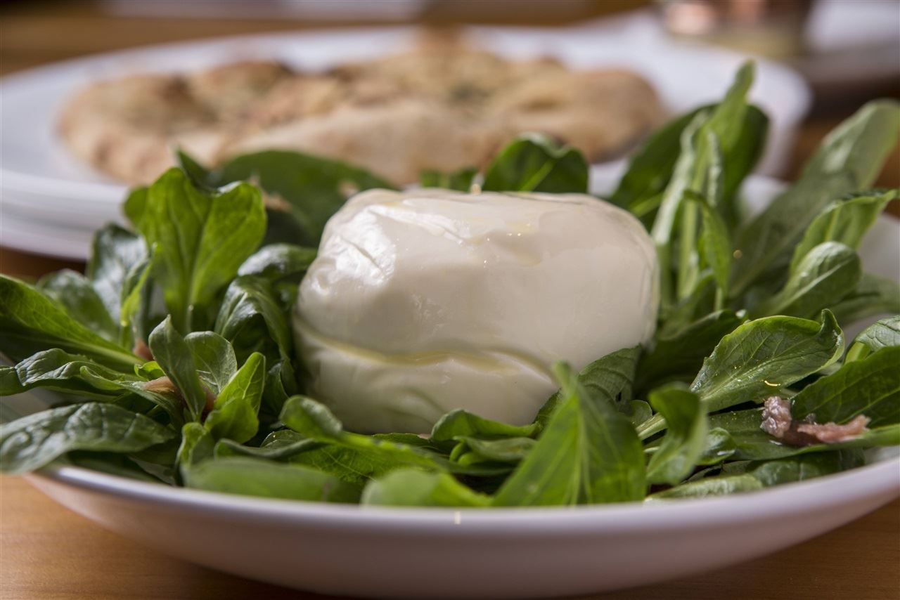 burrata - queijos 