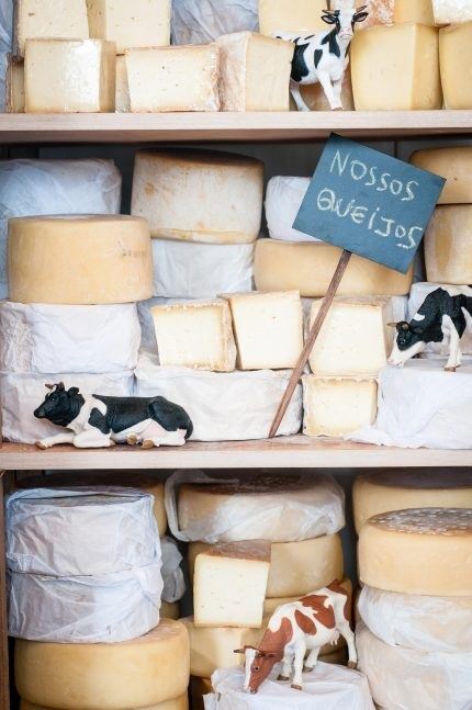 feira de queijos brasileiros - rio de janeiro 
