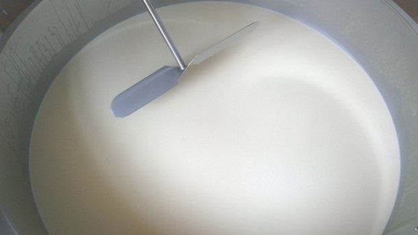 antibiótico no leite 