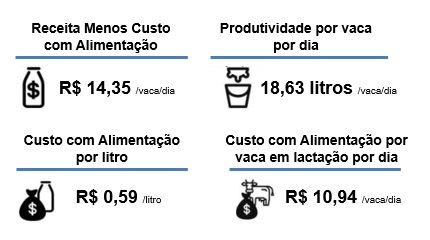 rmca - gestão da fazenda 