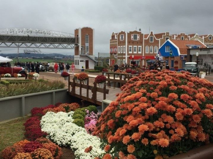 agroleite - castrolanda 