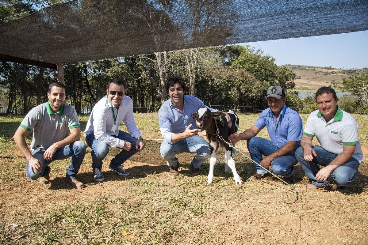 bezerra Verde Campo - +LEITE+SÓLIDOS 