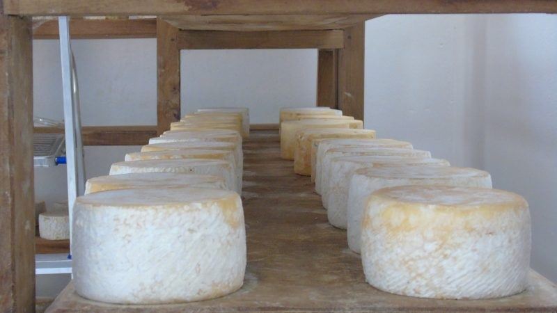 mofo do queijo minas artesanal 