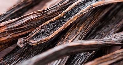 baunilha de Madagascar 