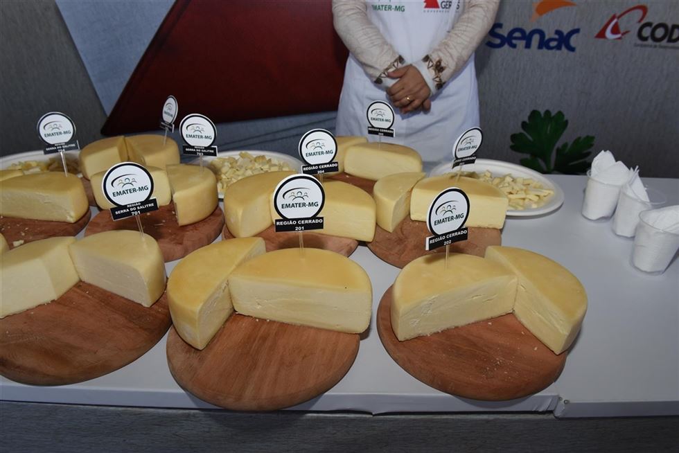 concurso queijo minas artesanal 
