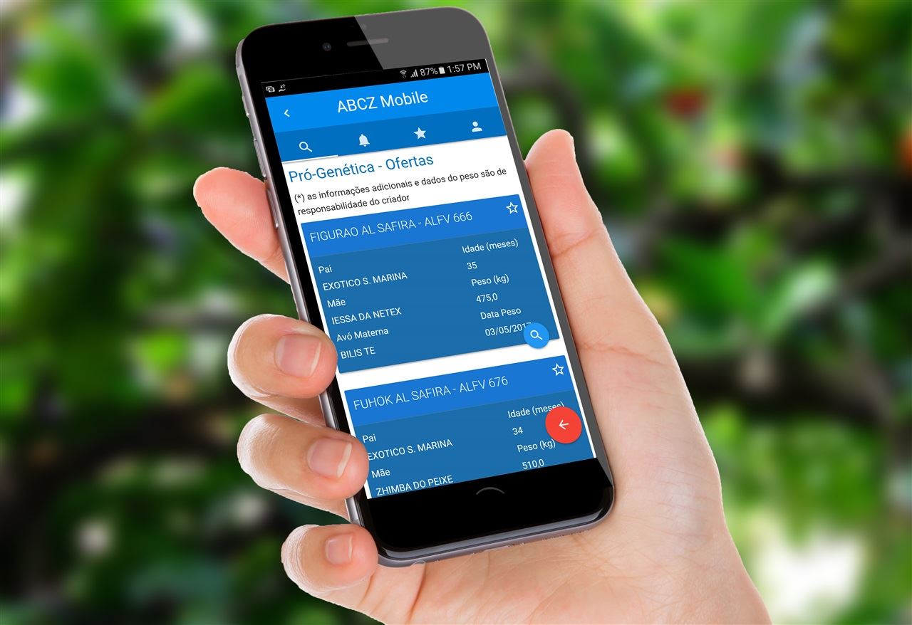Aplicativo ajuda pecuaristas de Minas Gerais a comprar touros para melhoria do rebanho