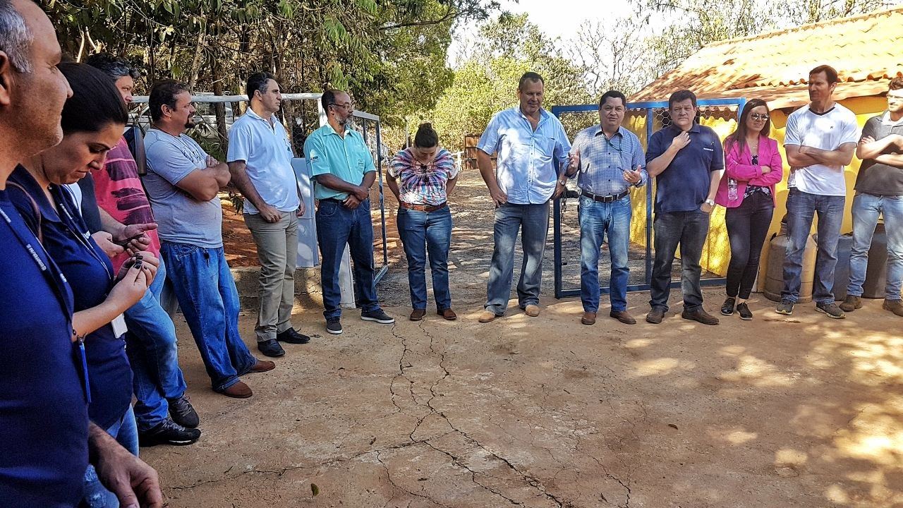 queijo minas artesanal 