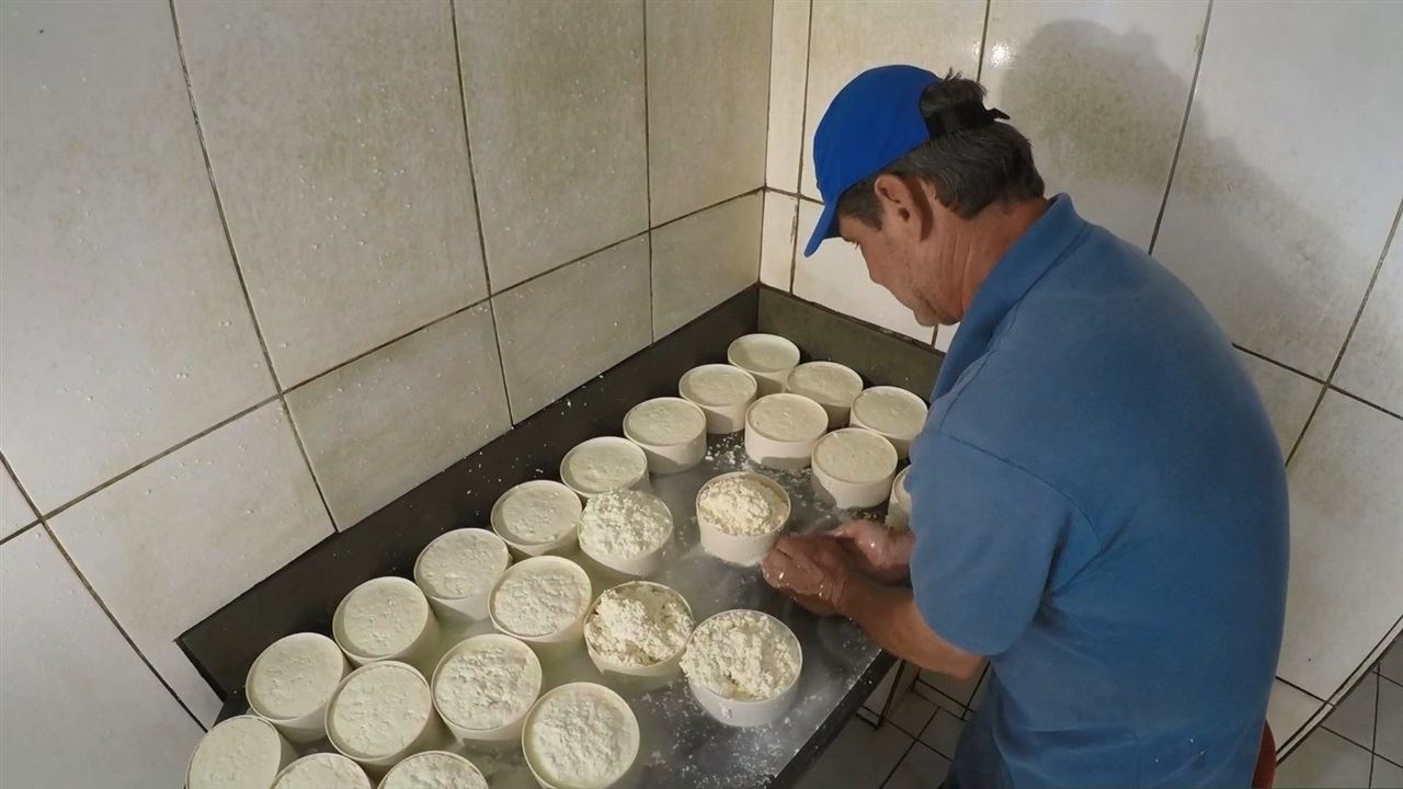 produção de queijos no estado do Espírito Santo 