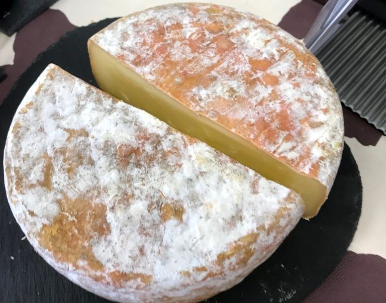 queijo artesanal brasileiro 