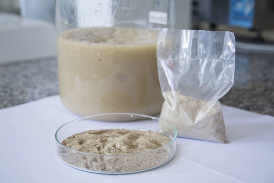 Nanocomposto à base de hidrogel tem grande potencial na agricultura Foto: Samuel Vasconcelos/Embrapa