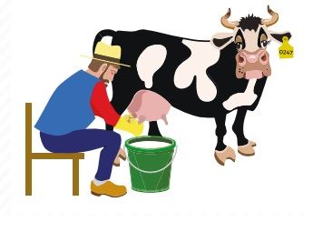 segurança e saúde no trabalho da pecuária leiteira 