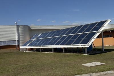 leão alimentos - resultados 