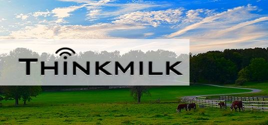  Startup thinkmilk