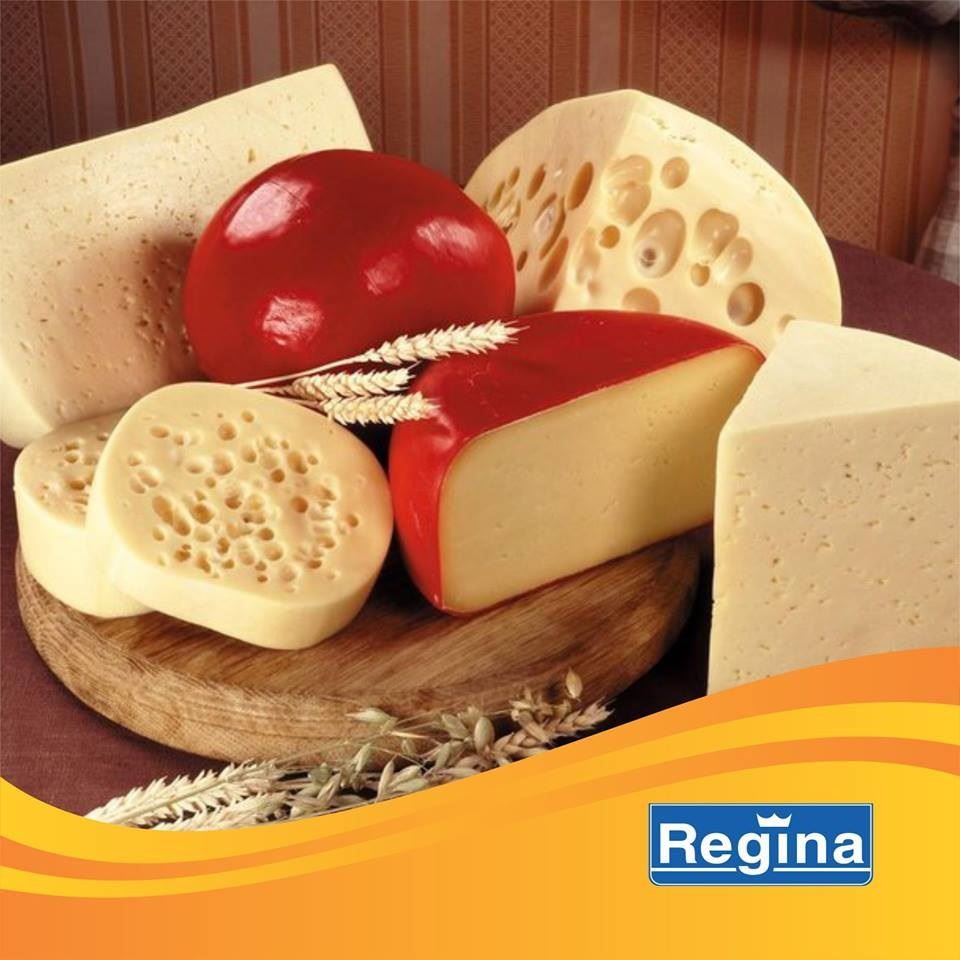 queijos Laticínios Regina 