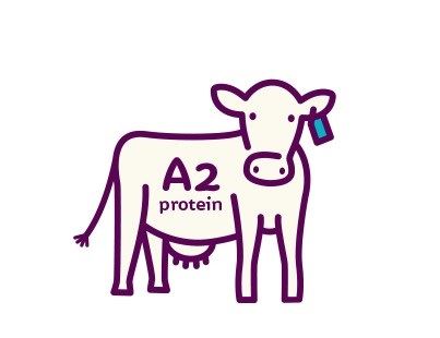 leite A2 - alergia ao leite 