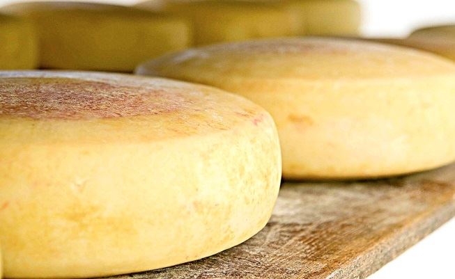 Comissão aprova proposta que regulamenta a produção e o comércio de queijo artesanal