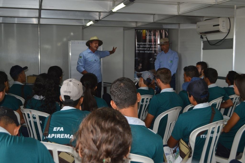 rondoleite - padovani 