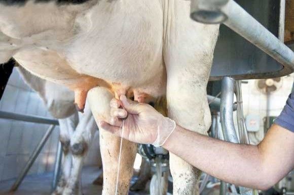 Fetag/RS e sindicatos querem maior valorização da atividade