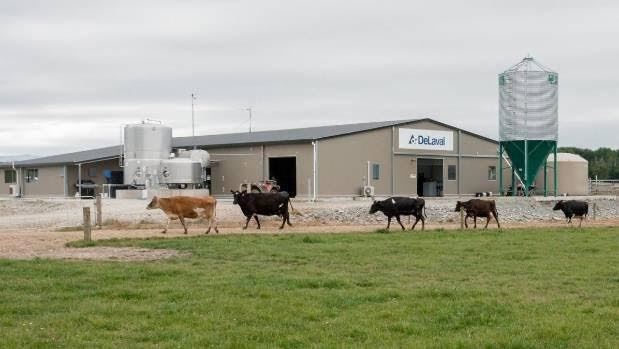 fazendas de leite robotizadas 
