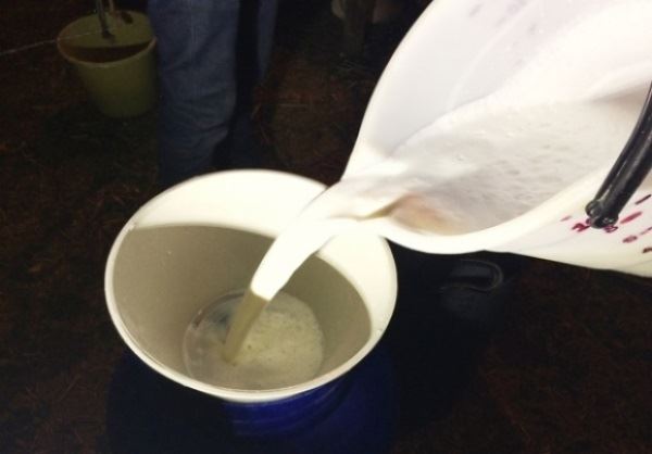 programa do leite em alagoas 