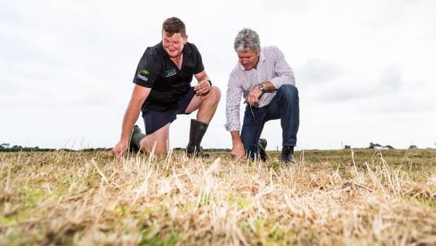 seca na Ilha do Norte - Nova Zelândia 