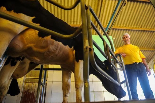 produção de leite em Santa Catarina 