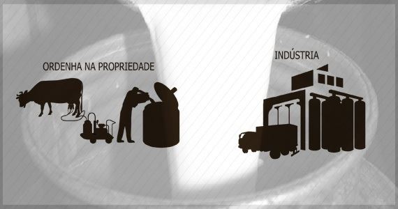 Leite - Produtor - Industria