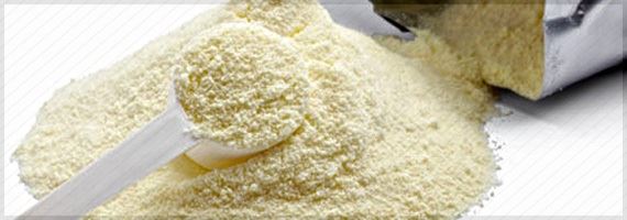 Produtores do Uruguai esperam meses favoráveis para os lácteos