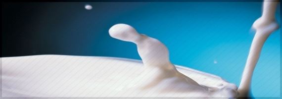 Argentina exportou quase US$ 100 milhões em fórmulas lácteas infantis neste ano