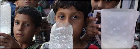 FAO apoia uso de lácteos para melhorar nutrição entre pessoas mais pobres