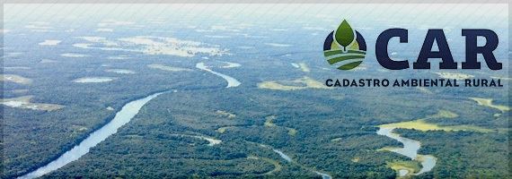 Audiência discute andamento de ações para aplicação do Código Florestal