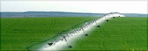 Agronegócio e investimentos despencam e PIB encolhe 0,5% no 3º trimestre