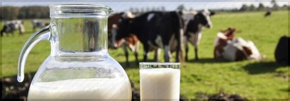 Pesquisa MilkPoint: Qual será o principal desafio para a produção leiteira em 2014?