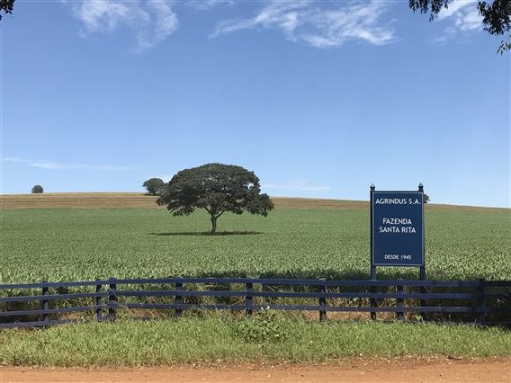 entrada da fazenda Agrindus