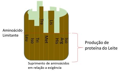 aminoácidos na nutrição do gado leiteiro 