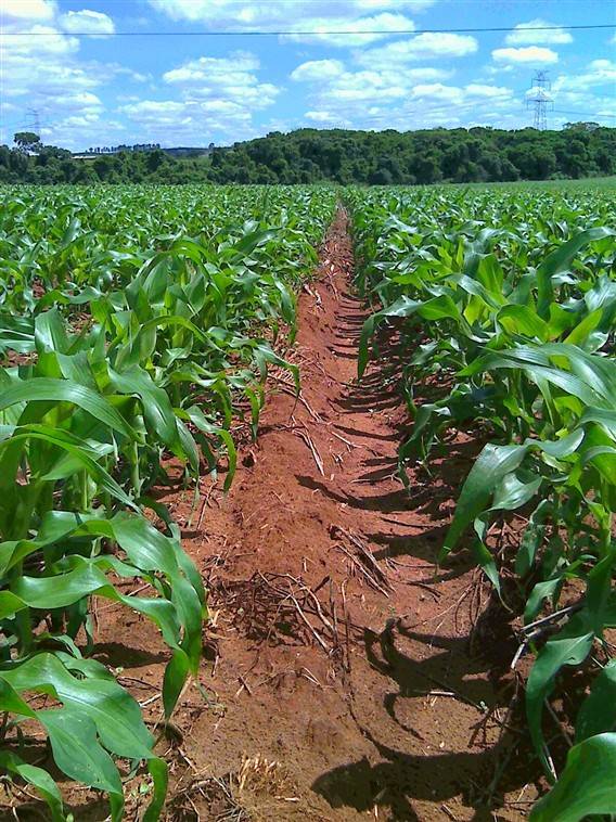 Figura 2