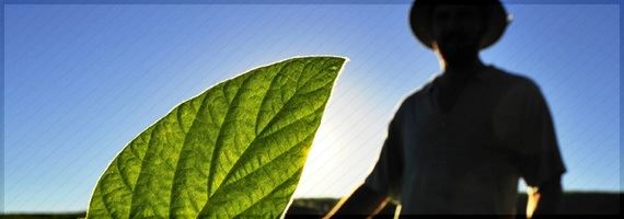 Emater comemora 65 anos de trabalho pioneiro com exposição de produtos da agricultura familiar de MG