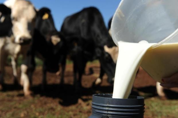 RS: Assembleia Legislativa aprova Fundoleite