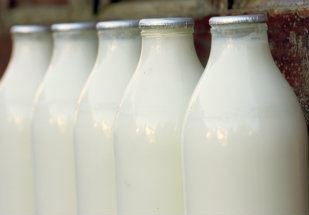 EUA: Ritmo recorde de exportações de lácteos continua em outubro