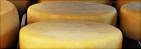 Fabricação de queijos artesanais