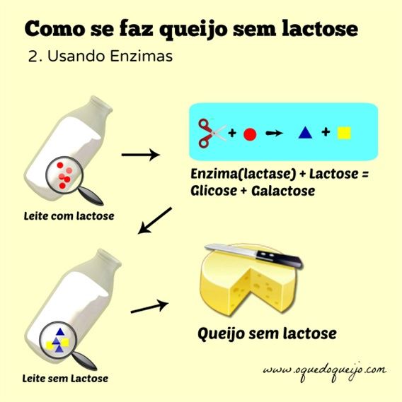 lactose - queijos - zero lactose 