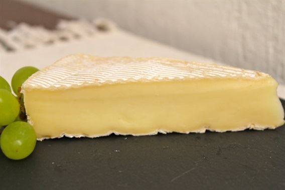 queijo Brie 