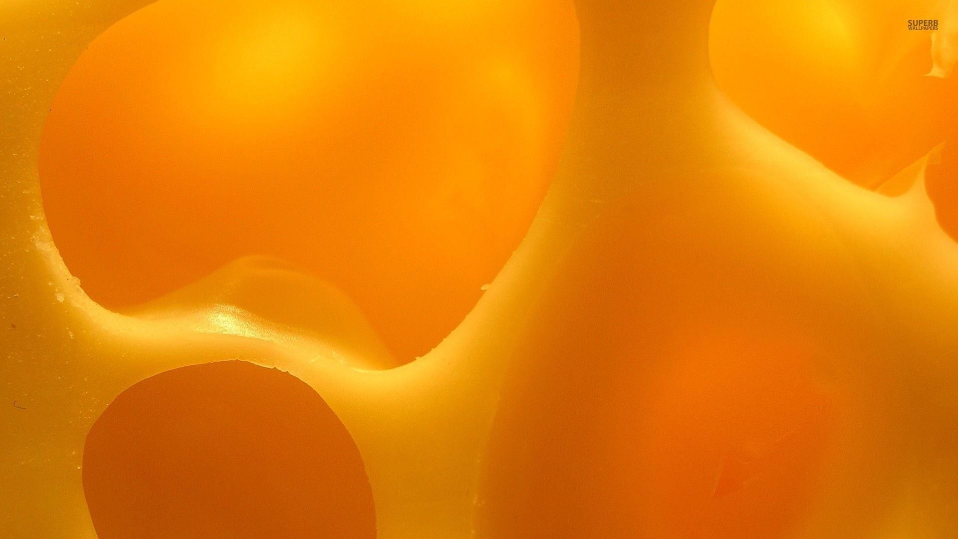 denominação de origem - queijos 