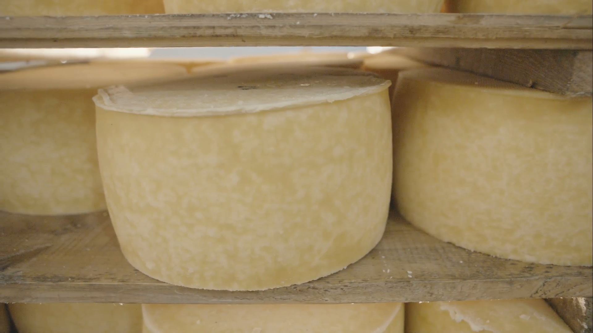 Metodologia simplificada facilita a regularização dos produtores de Queijo Minas Artesanal