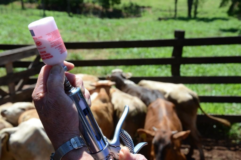 Mercado de saúde animal deve ter crescimento de 7% a 8% neste ano